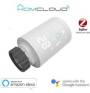 Termoregolazione Wi-Fi/Zigbee
